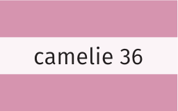 Heidekönigin Leinenschal kurz